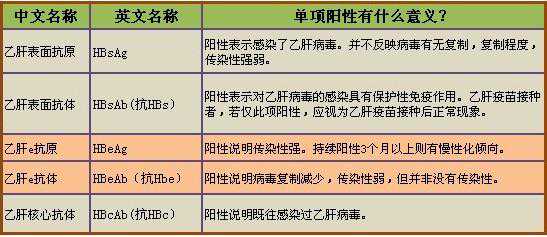 乙肝五項(xiàng)檢查，俗稱乙肝兩對半檢驗(yàn)，結(jié)果最全解釋，建議收藏