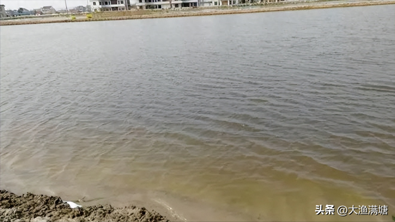 水產(chǎn)低溫肥水技巧和方法，魚塘肥水肥不起來是怎么回事？建議收藏
